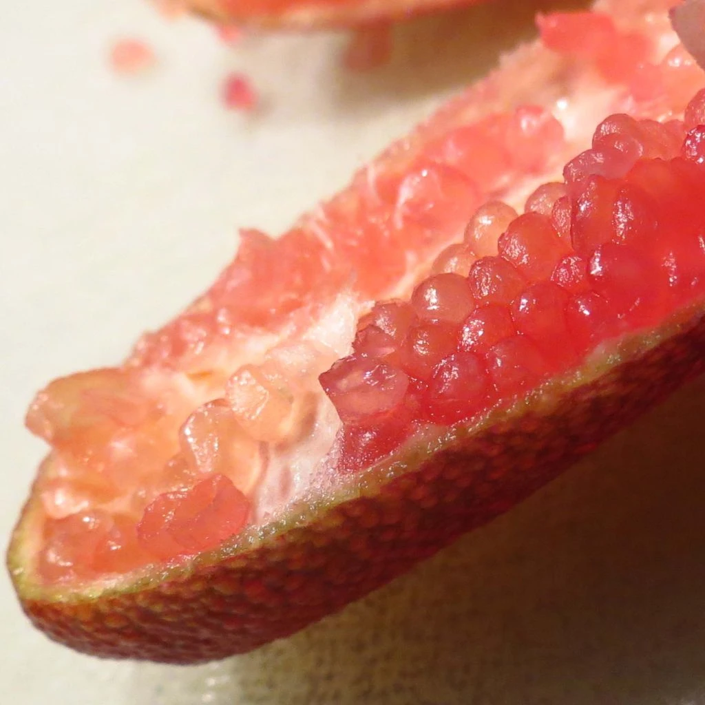 Citron Caviar Grains Rouges Red Crystal - Microcitrus Australasica